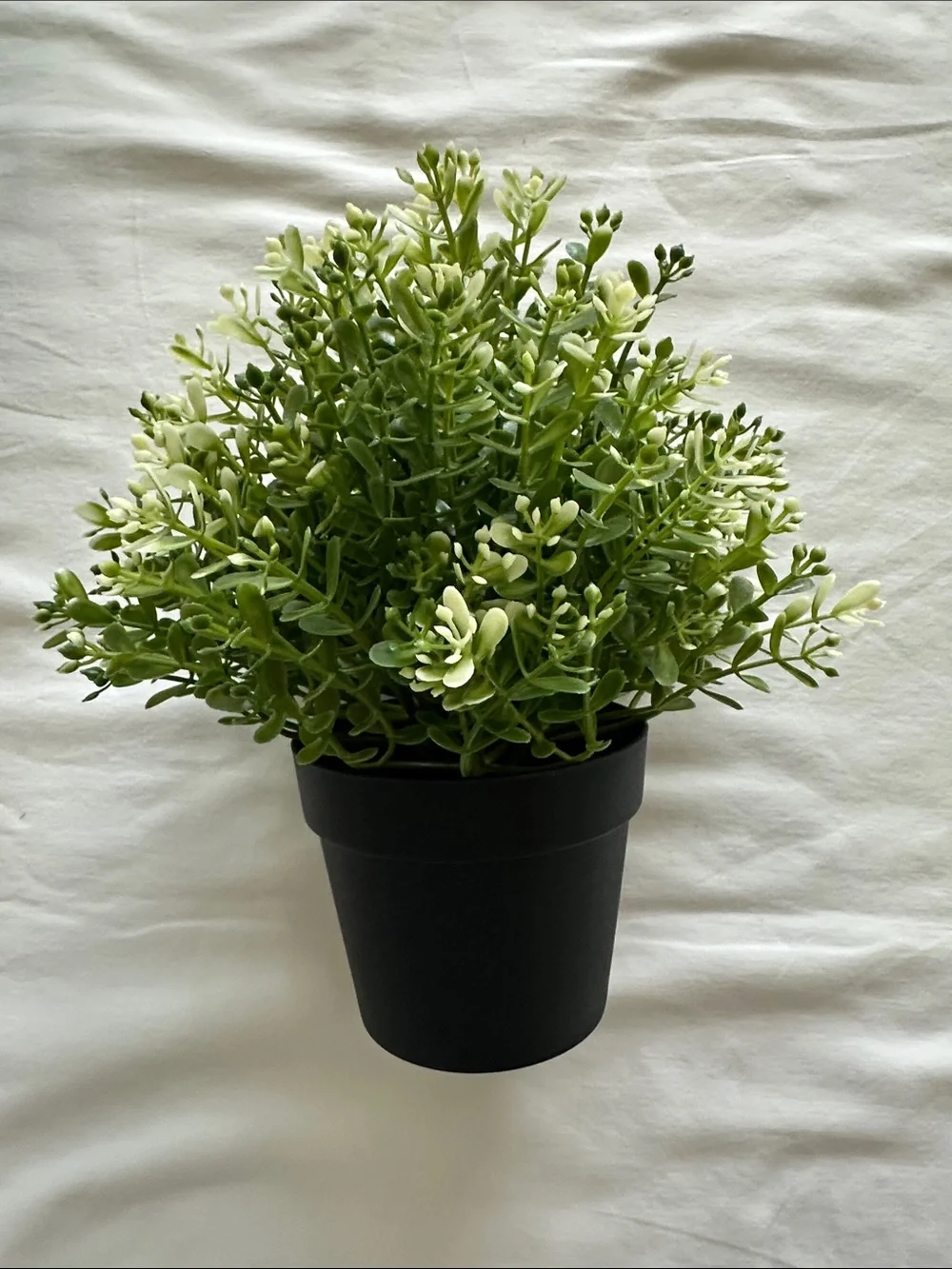 Home Accents - 6 Artificial Decoration Plants